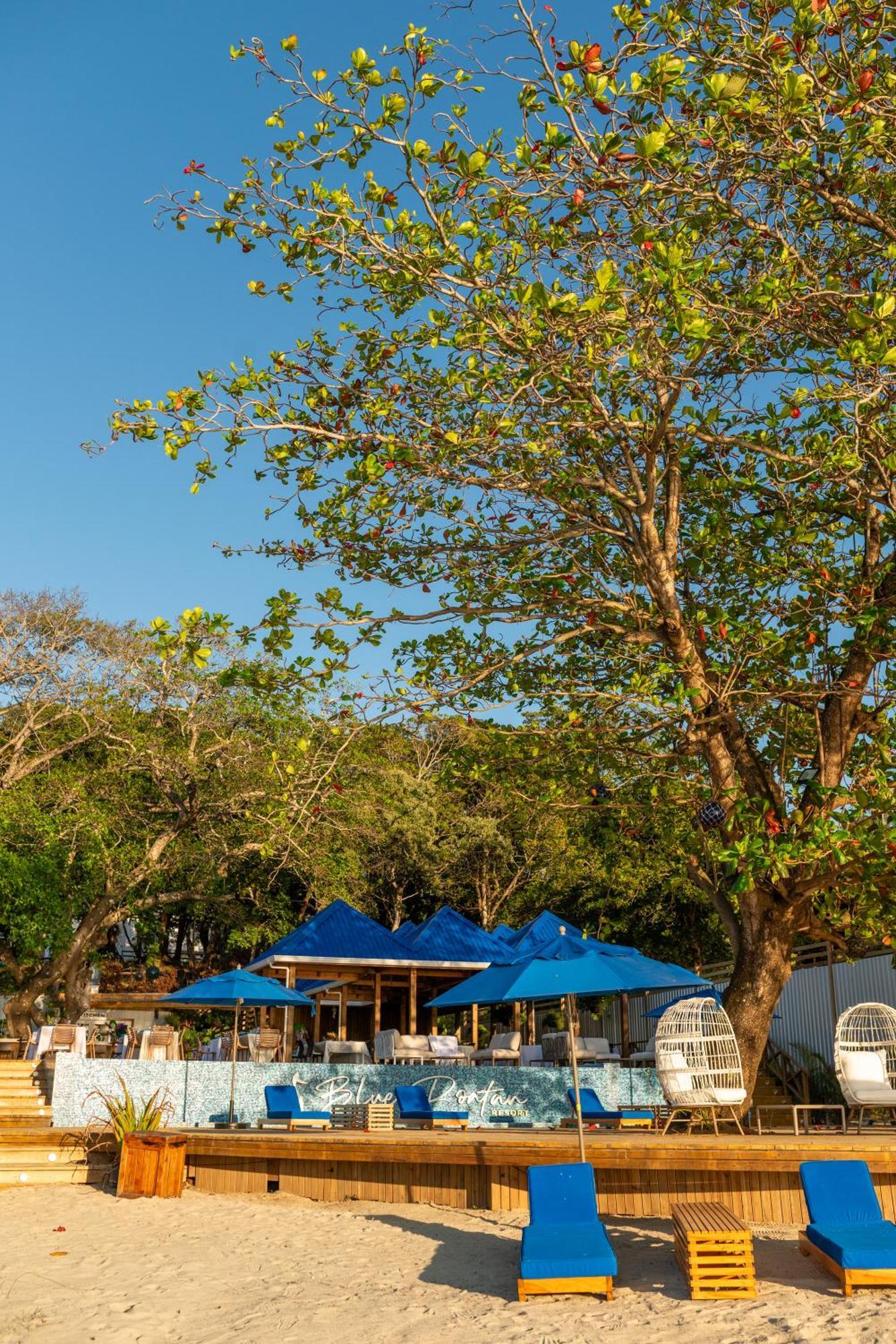 Blue Roatan Resort West Bay Bagian luar foto