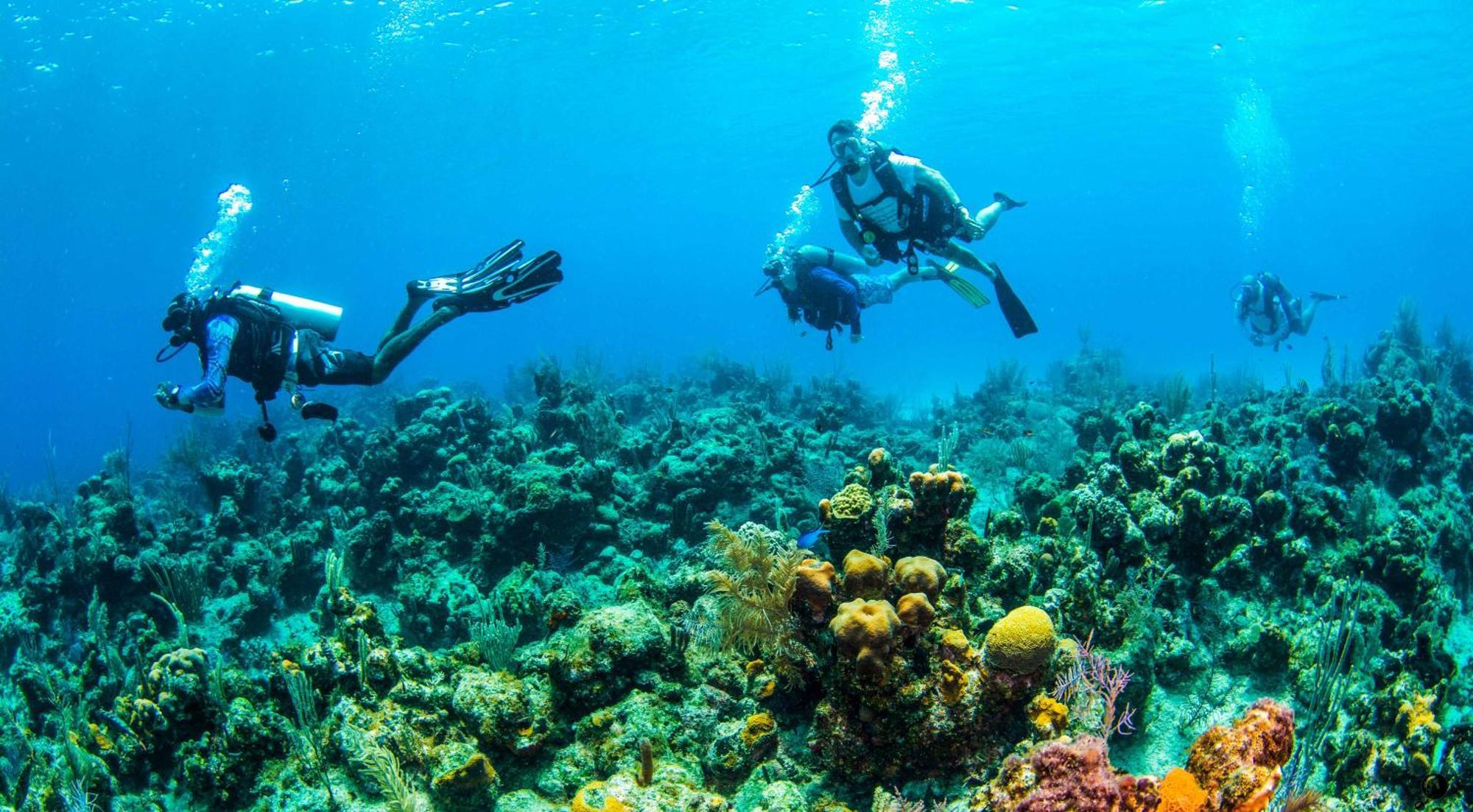 Blue Roatan Resort West Bay Bagian luar foto